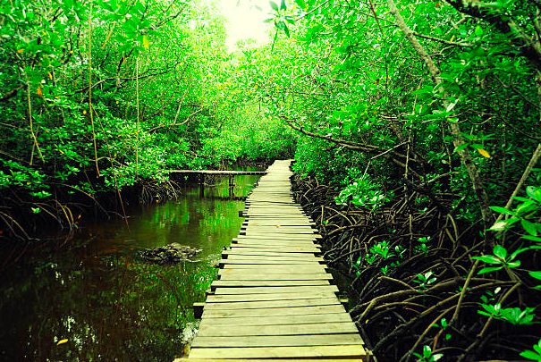 Beautful Zanzibar